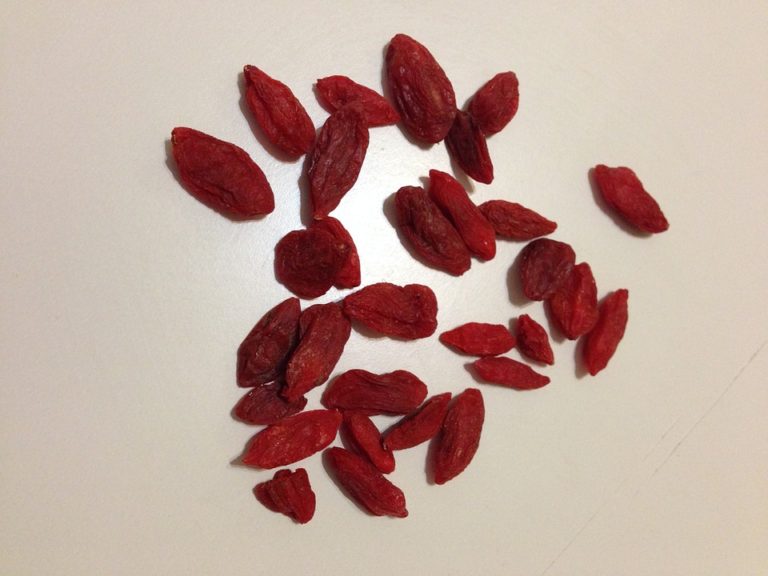 Goji plody