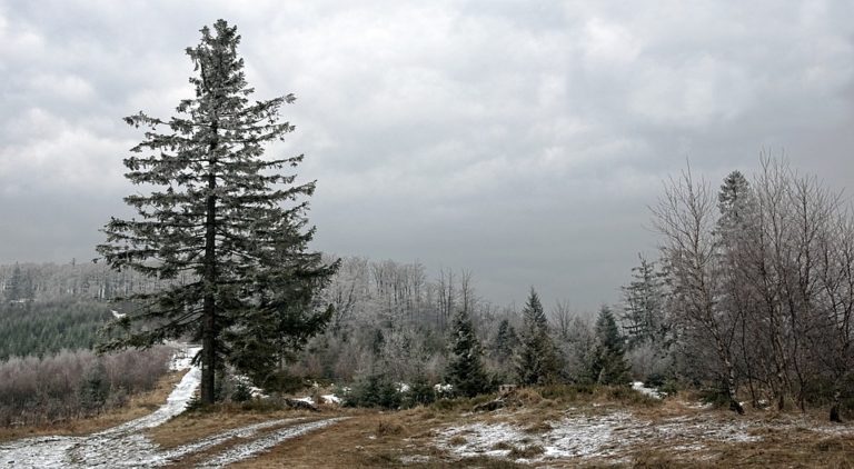 Moravskoslezské Beskydy