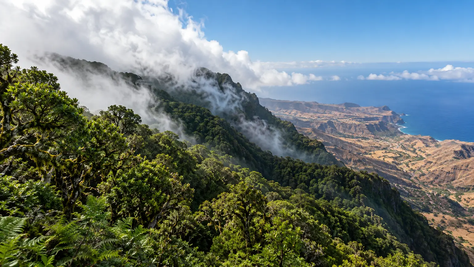 Horské údolí a pobřeží ostrova La Gomera
